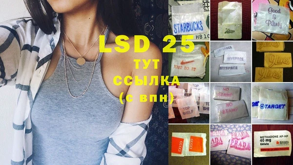 PSILOCYBIN Кулебаки