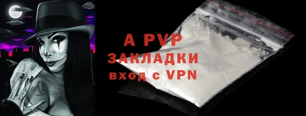PSILOCYBIN Кулебаки