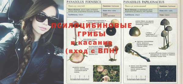 mdma Ладушкин
