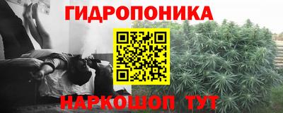 ешки Абакан