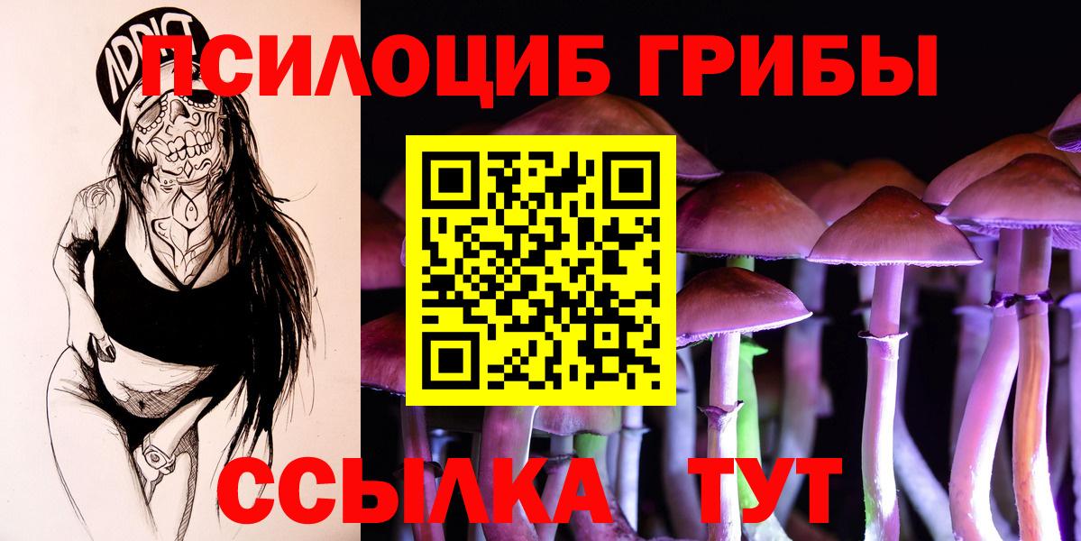 Галлюциногенные грибы Psilocybine cubensis Тейково
